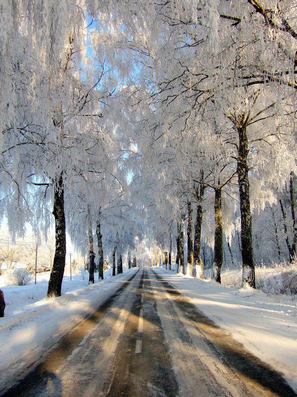 way for the winterphoto preview