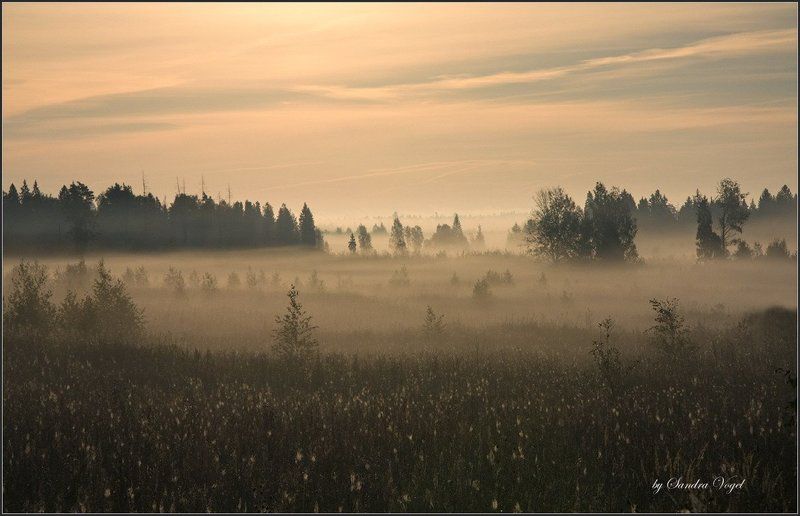 morning, fog, утро, туман, тверская, область Morning Fogphoto preview