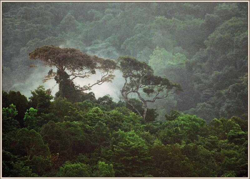 Старая страшная сказка.photo preview