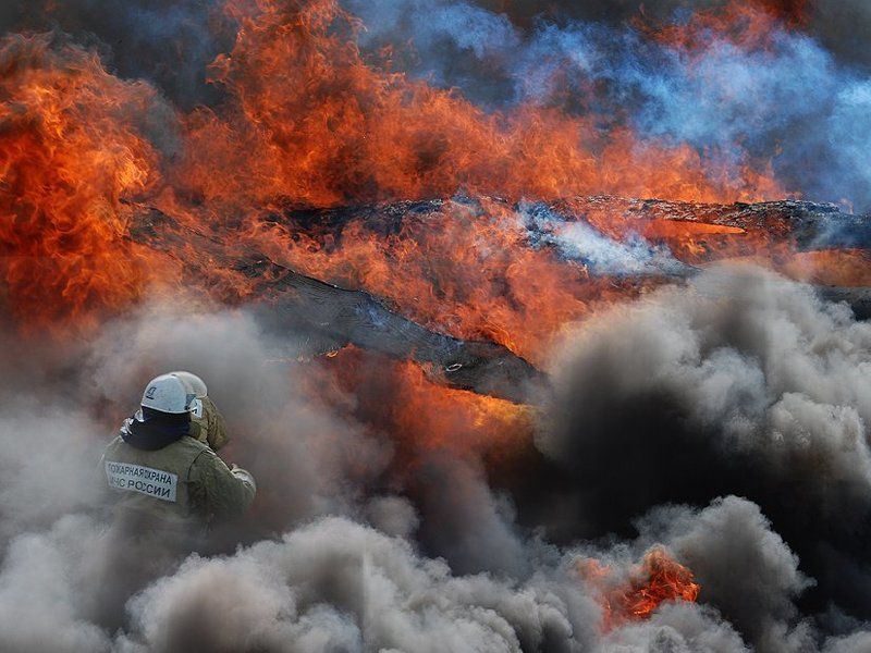 пожар, лес, мужество Такая работа...photo preview