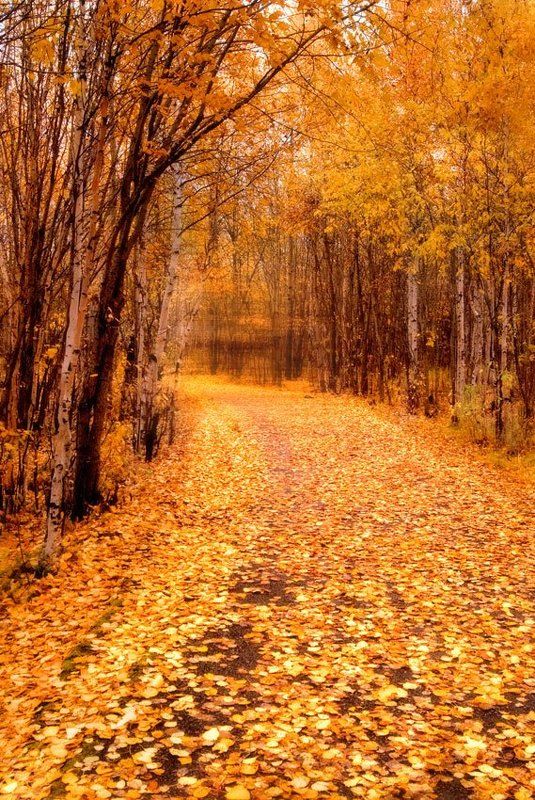 С осенью уйти...photo preview