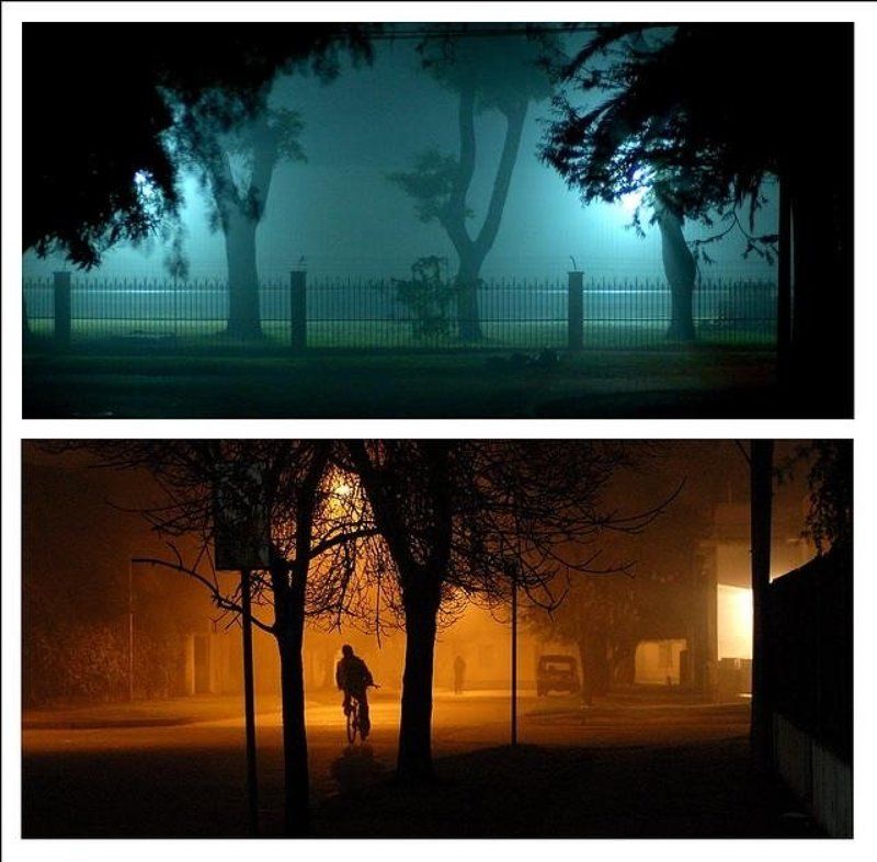 ДВА птих- не путать с триптихом и тем паче с ...photo preview