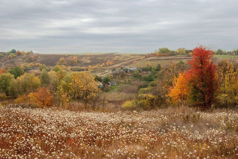 унылая пораphoto preview