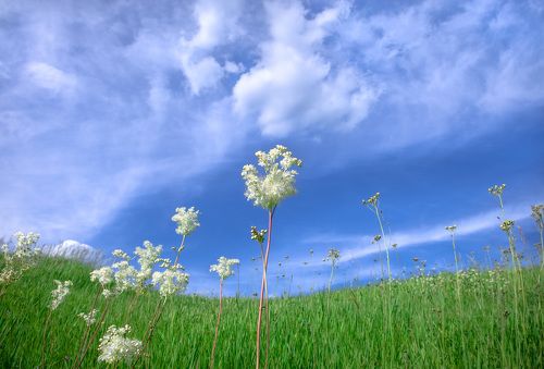 В ожидании лета