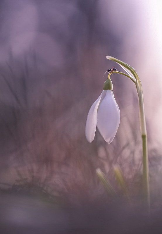 Эстетphoto preview