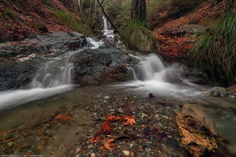 Природа, Водопад, Лес, Поток, Осень, Река, Скала, Вода, Пейзаж, Мох, Лист, Дерево, Гора, Влажный, Течение, Падение, Кипр, Троодос, Меса Потамос, Nature, Waterfall, Forest, Stream, Autumn, River, Rock, Water, Outdoors, Landscape, Scenics, Moss, Leaf, Flowi Водопад Меса Потамосphoto preview