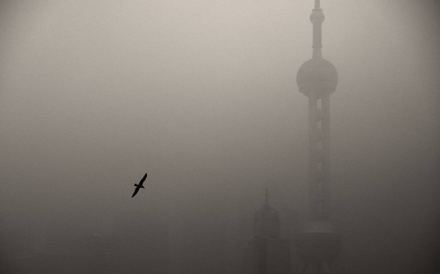 street , street photography , black and white, yajun.hu
