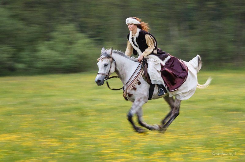 horse, panning, Escapephoto preview