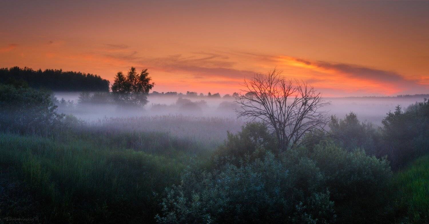 Летний вечер. Автор: Михаил Дубровинский , Михаил Дубровинский