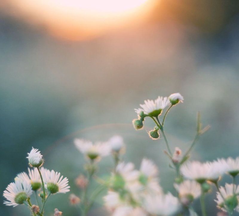 закатнаяphoto preview