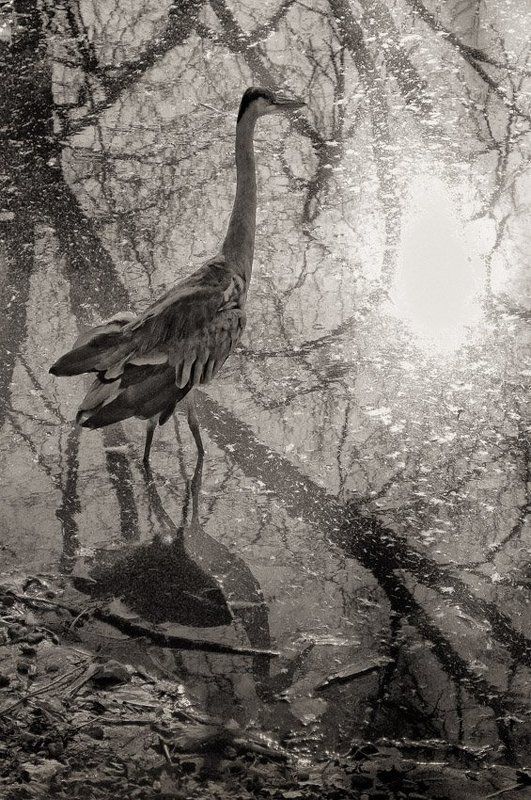 ожидание - как образ жизниphoto preview