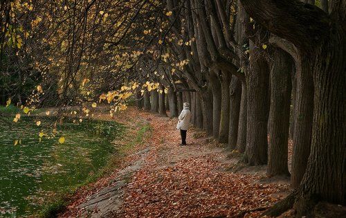 Осень жизни, как и осень года.