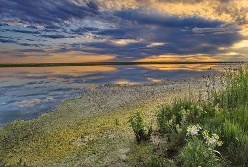 Переливы летних красок