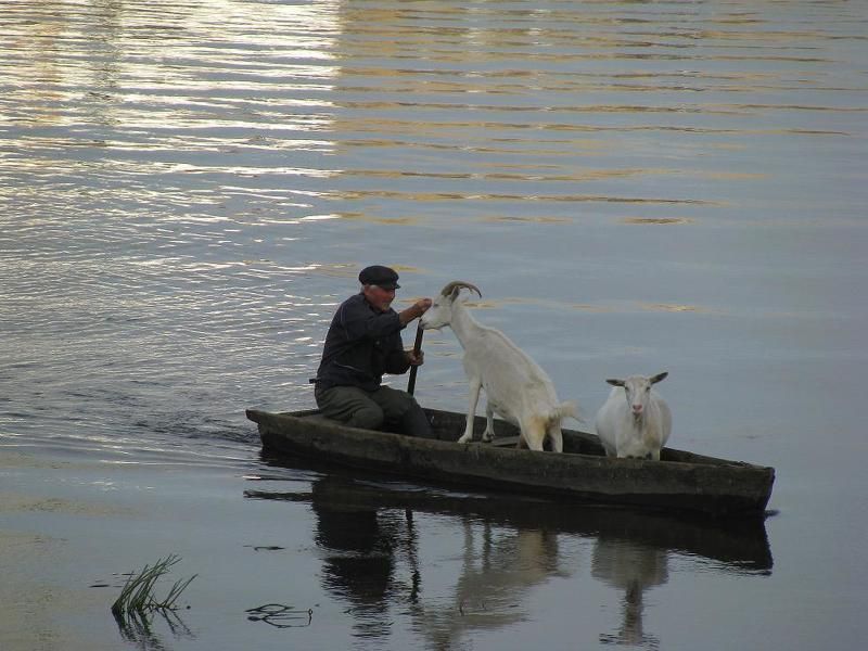 Только деда люблюphoto preview