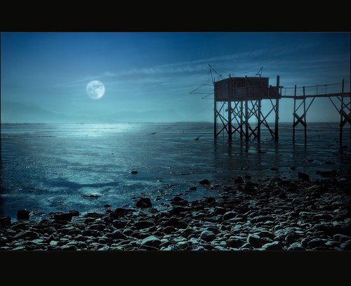 Moonshine