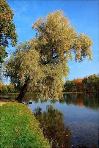 Осень