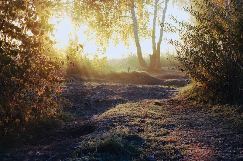 пейзаж, утро, осень, мороз, луч, солнце Первые лучиphoto preview