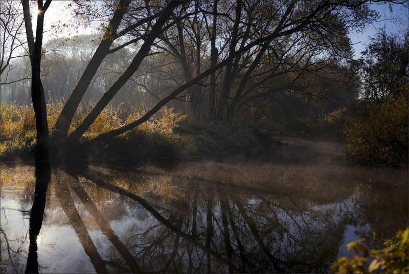 осень Есть в осени первоначальной ...photo preview