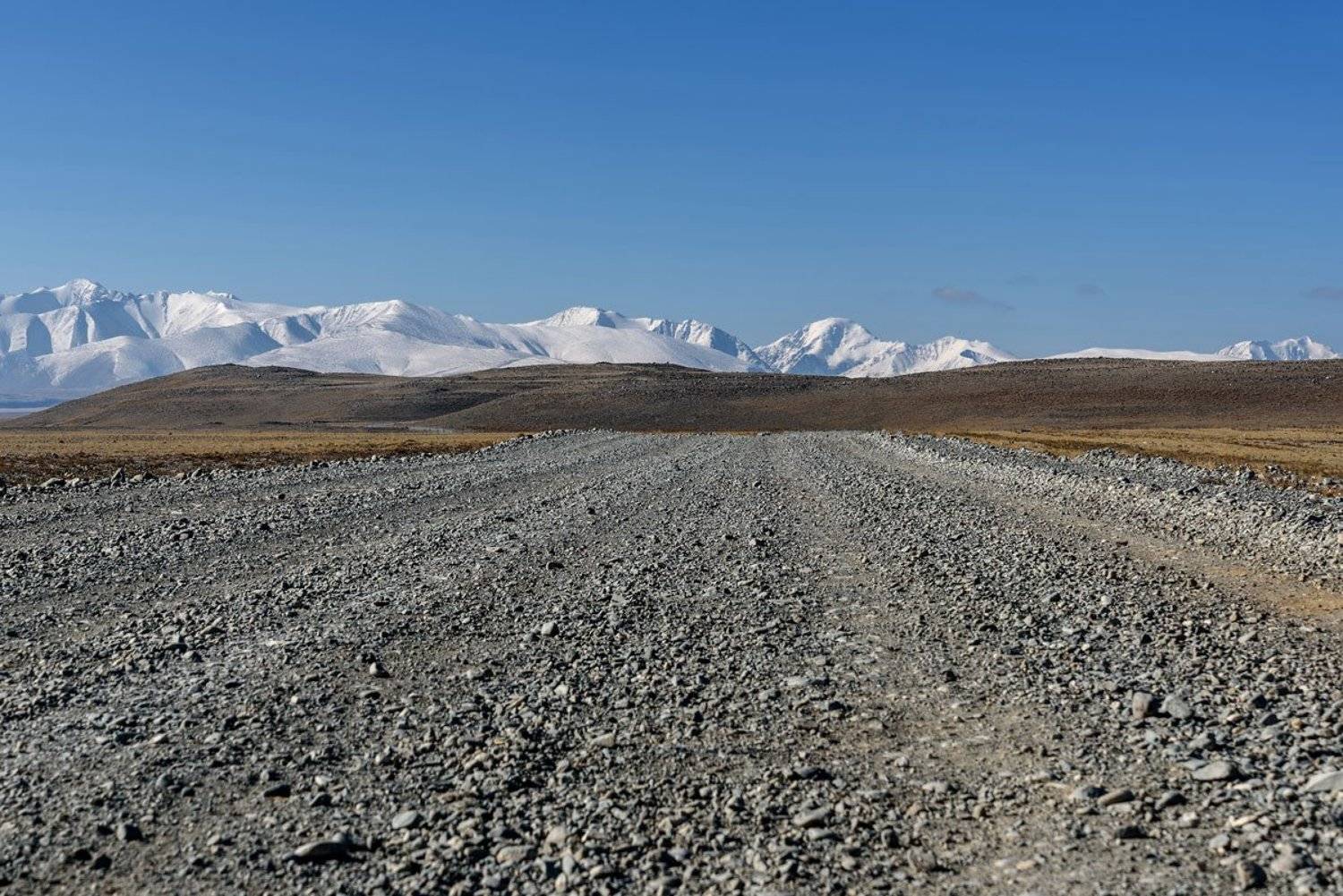 алтай, дорога, горы, степь, altai, road, mountains, steppe, Iri_sha