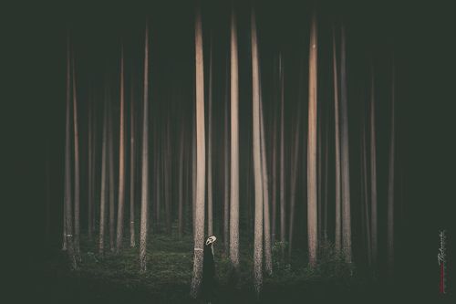 A Bad Dream