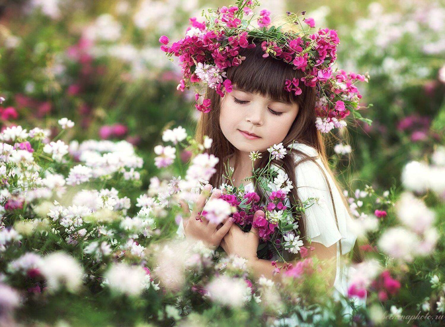 ***. Автор: Диана Бечина , Диана Бечина