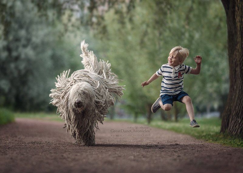 Racing with my trained Mop (New Adventures)