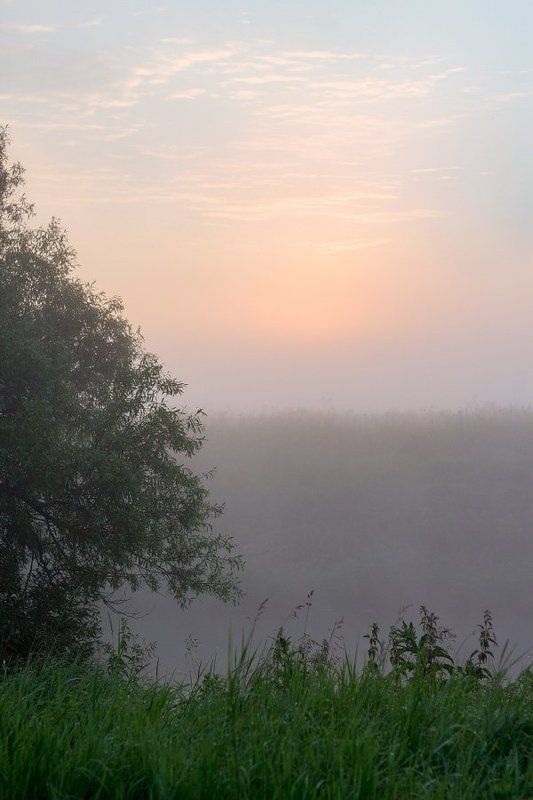 Очередное утроphoto preview