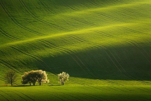 Moravian waves