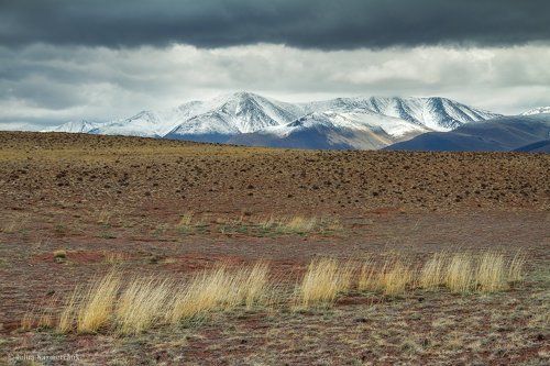 Сайлюгемские этюды (1)