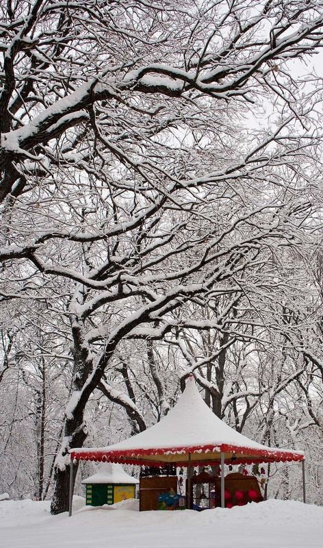 зима, парк, снег Снежное царствоphoto preview