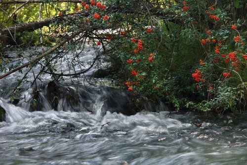 Наводнение
