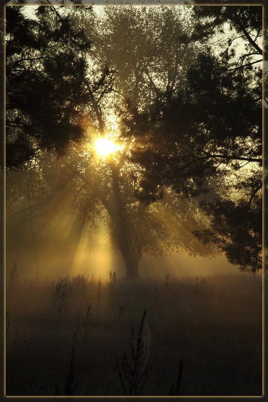 Осень, осень!photo preview