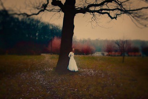 Stealing beauty