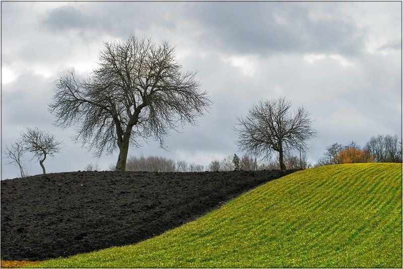 семьяphoto preview