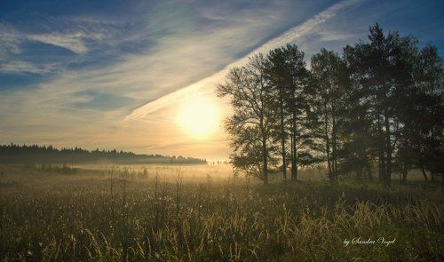 Morning