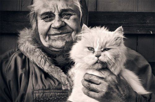 Сельская кошачья