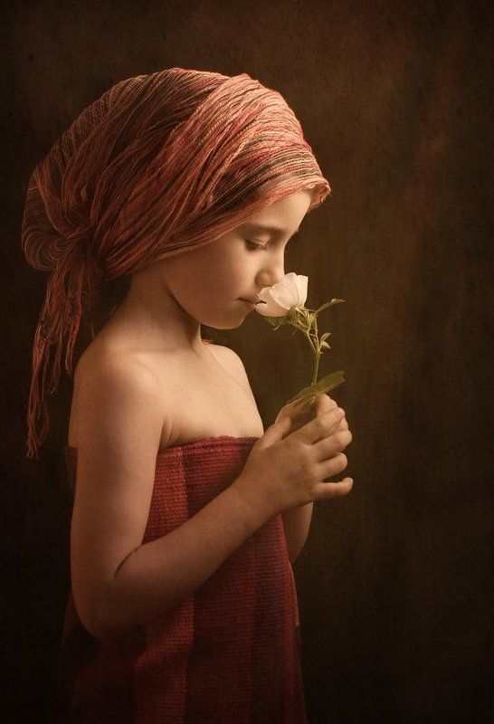 Desert Rose