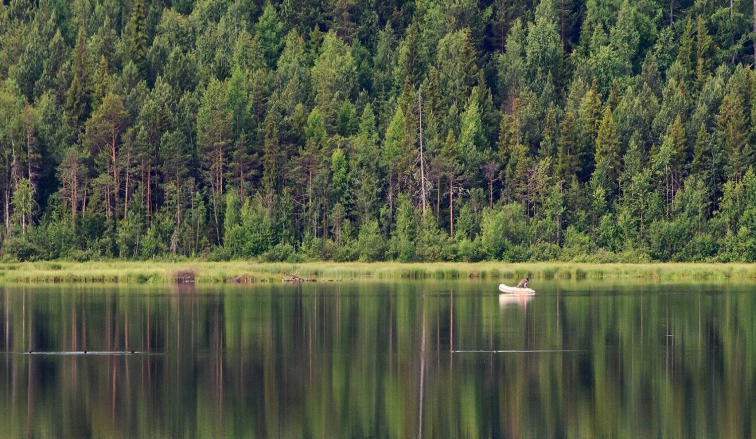 , Воинков Виктор