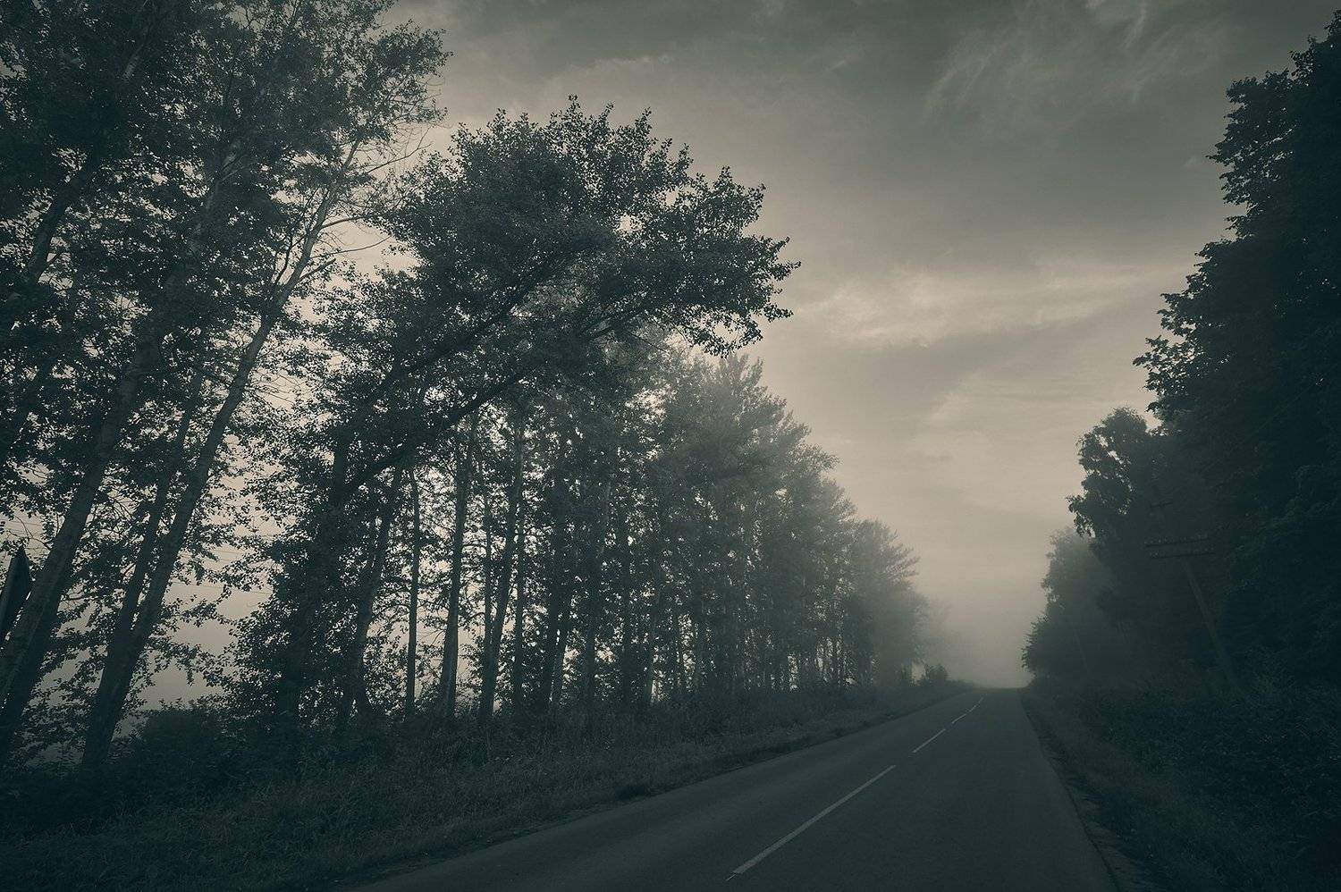 , Каревский Дмитрий