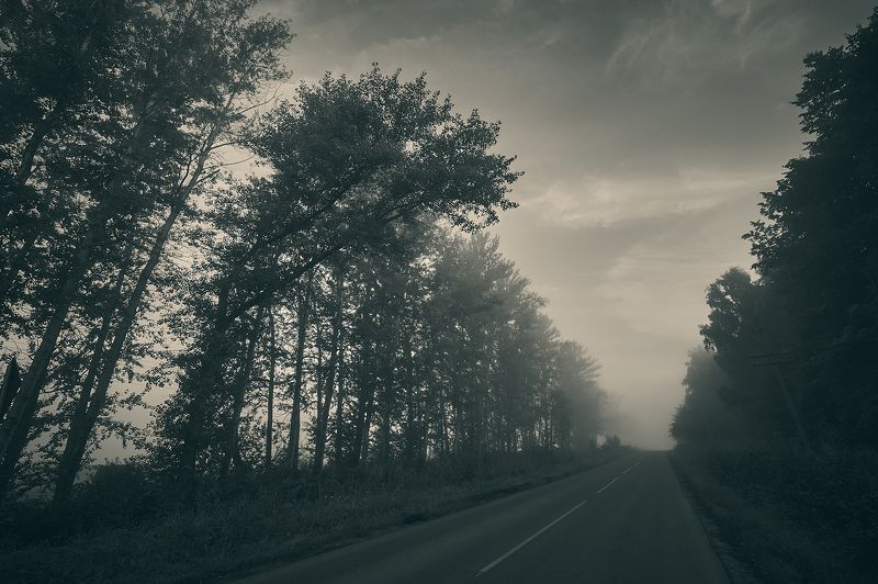 Дорога в Никудаphoto preview