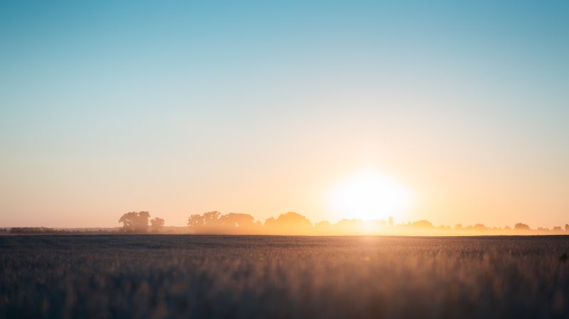 Ukrainephoto preview