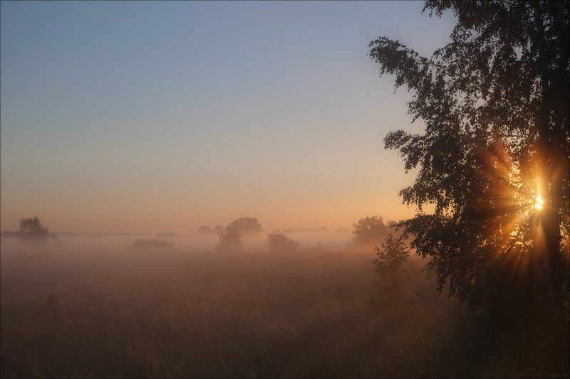 Августовские контровичкиphoto preview