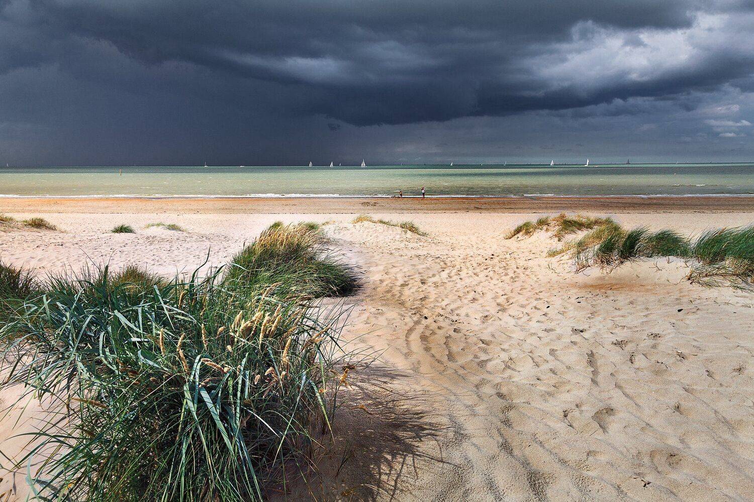 *Дюны*. Автор: Андрей Огнев северное море, шторм, бельггия, дюны, пляж,, Андрей Огнев