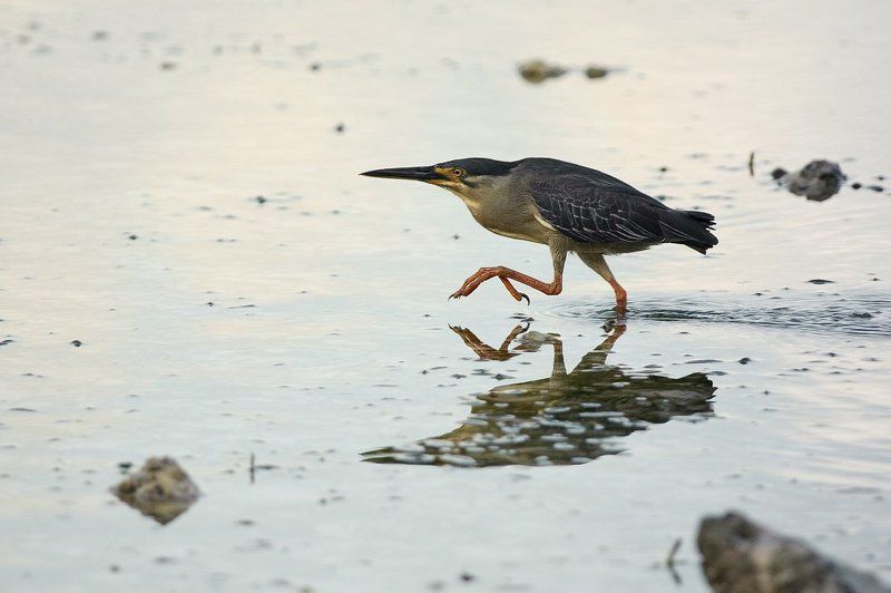 кваква Нормальные герои всегда идут...photo preview