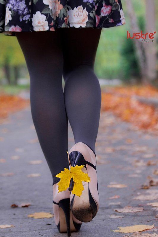 листок, каблуки, осень Осень наступилаphoto preview