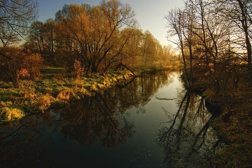 Осень на реке