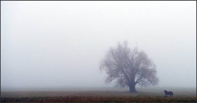 Autumn melancholyphoto preview