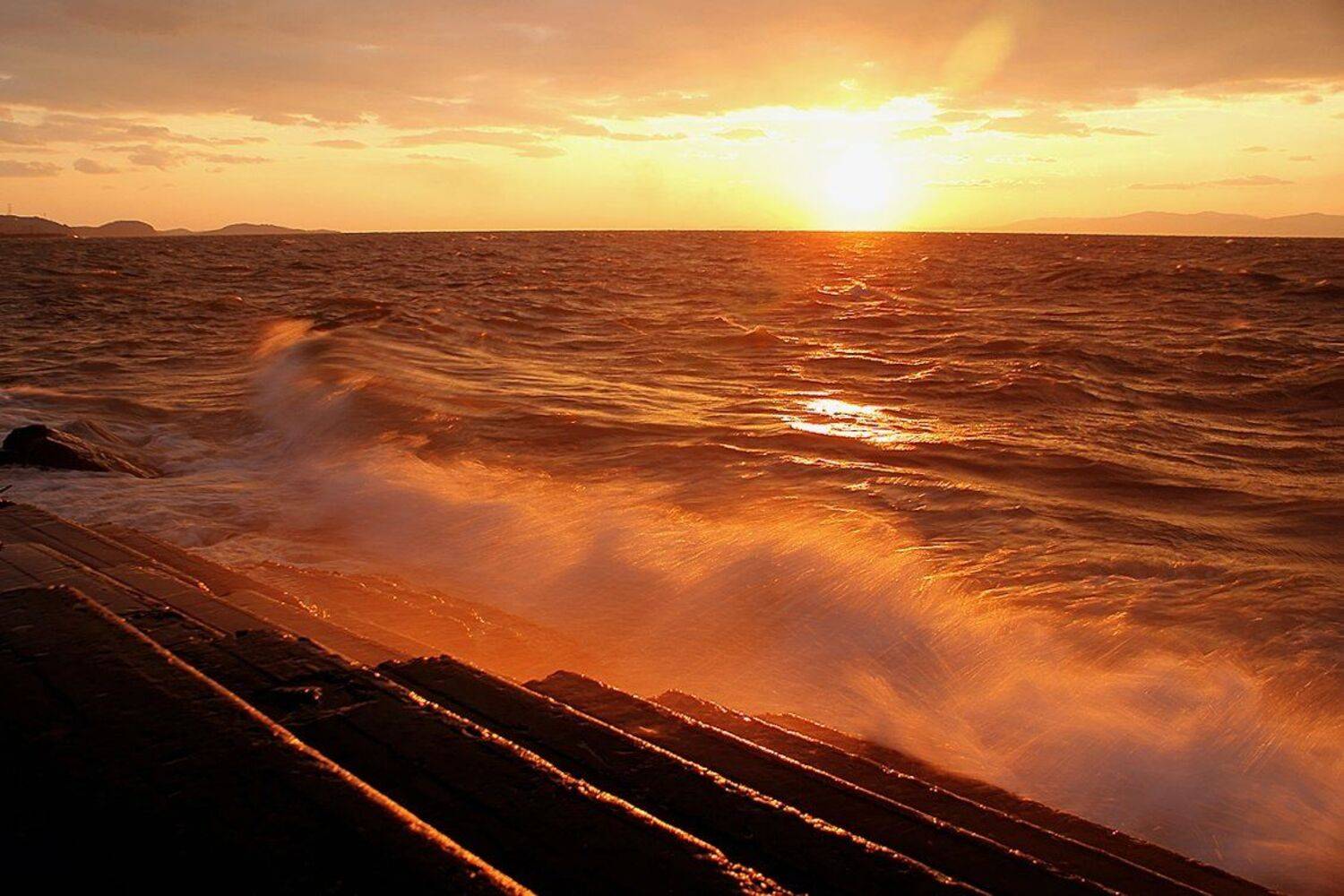 , олег сопов