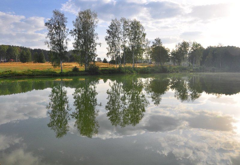 Берёзовый рядphoto preview