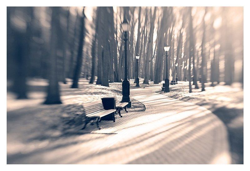 lensbaby По Царицино с Lensbabyphoto preview